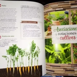 LA HUERTA ESCOLAR Y COMUNITARIA